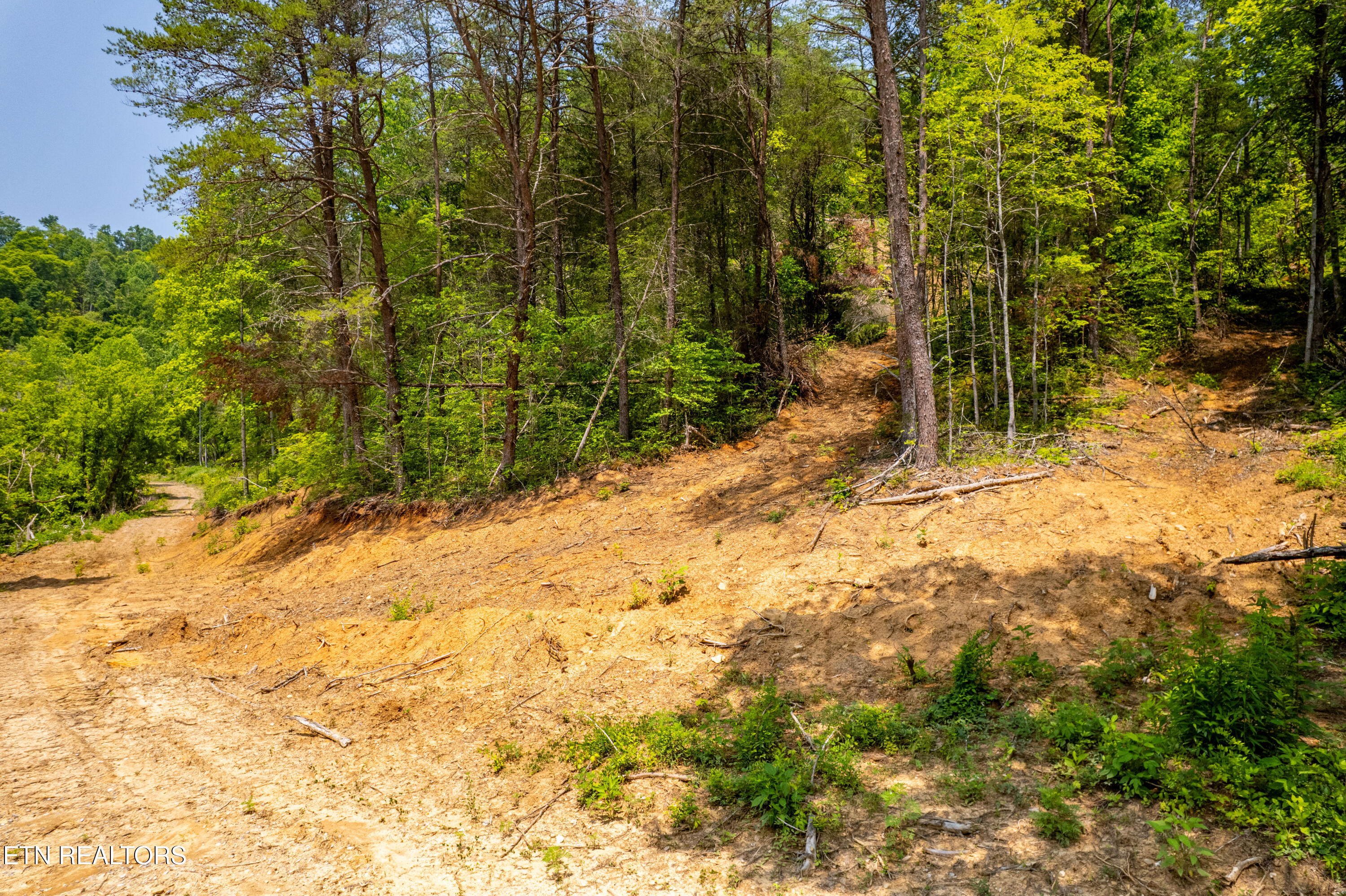 Beech Creek Road Rogersville, TN 37857 - Photo 7 of 35 BeechCreekRd-9