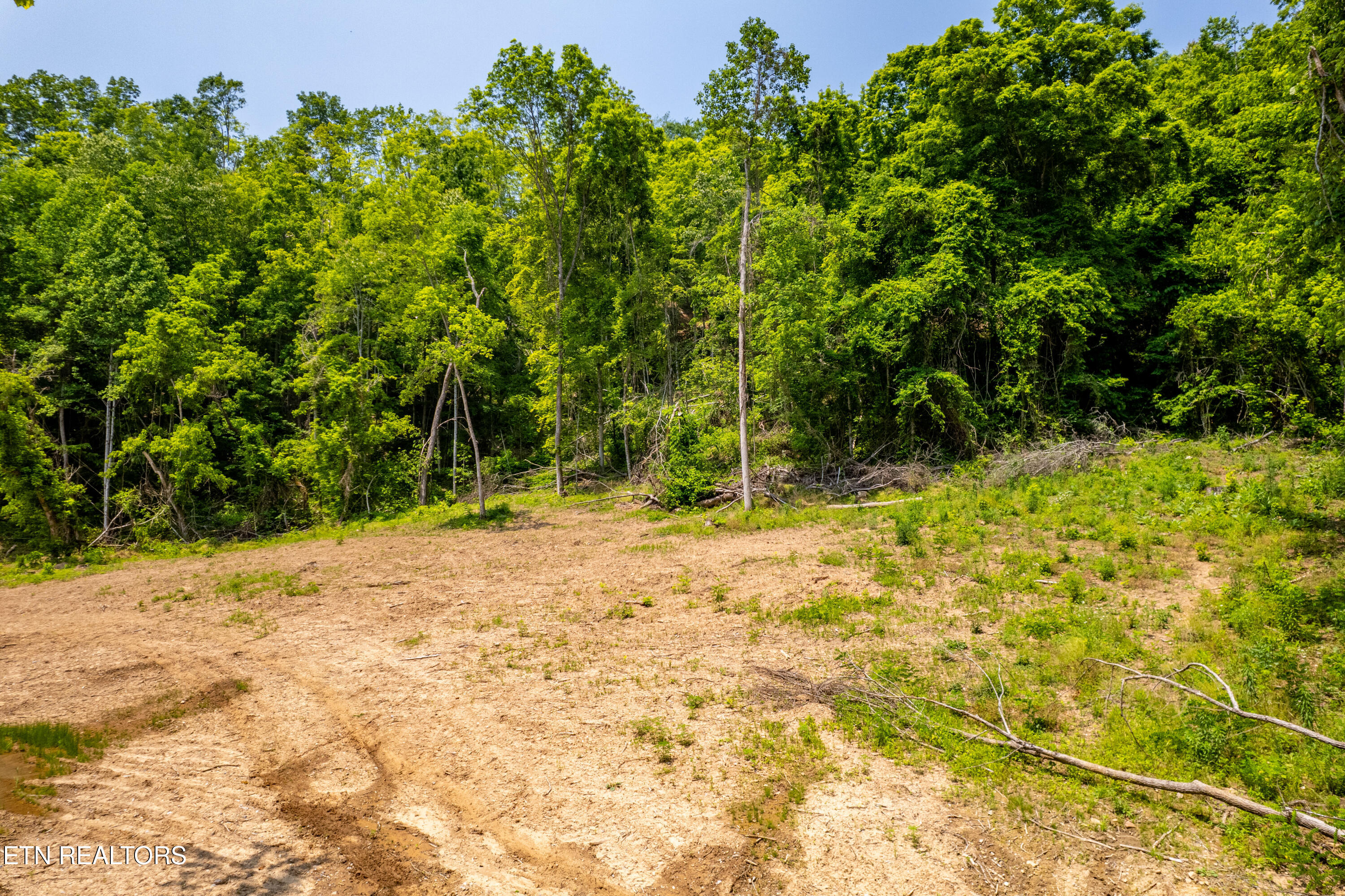Beech Creek Road Rogersville, TN 37857 - Photo 9 of 35 BeechCreekRd-11