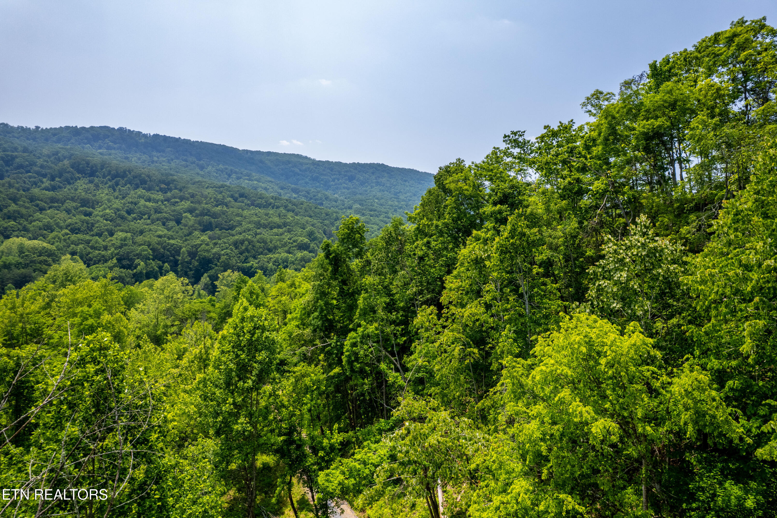 Beech Creek Road Rogersville, TN 37857 - Photo 10 of 35 BeechCreekRd-12