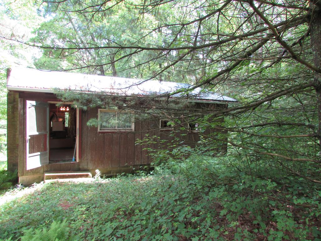 0 Backwoods Lane Leeper, PA 16233 - Photo 1 of 7 a backyard of a house with lots of green space
