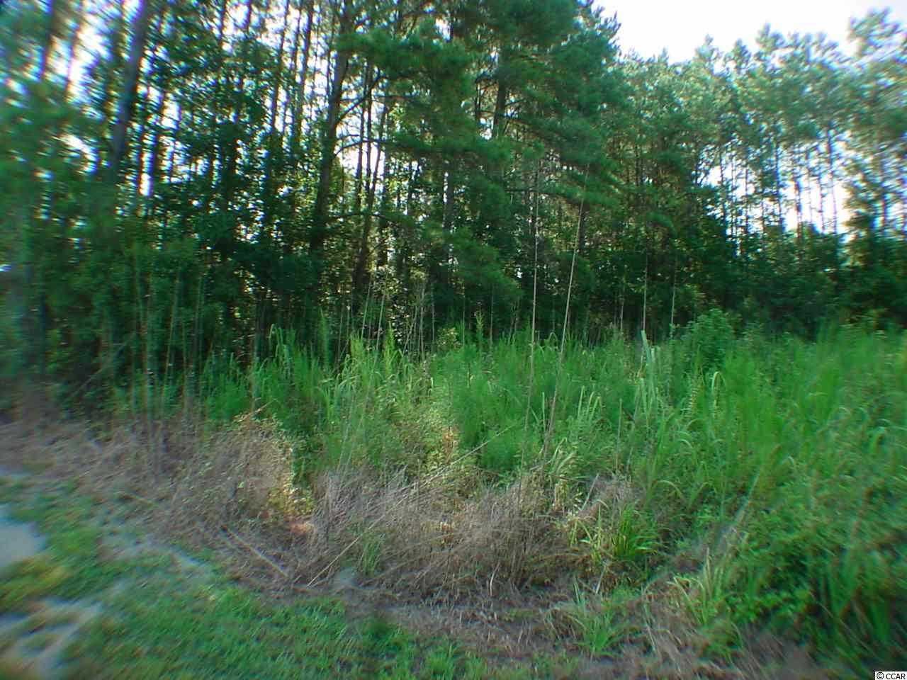 Lot 2 Sarvis Farm Road Longs, SC 29568 - Photo 3 of 7 Gallery Image 3