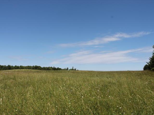 20 Clearview Road Ogema, WI 54459 - Photo 18 of 20 Gallery Image 18