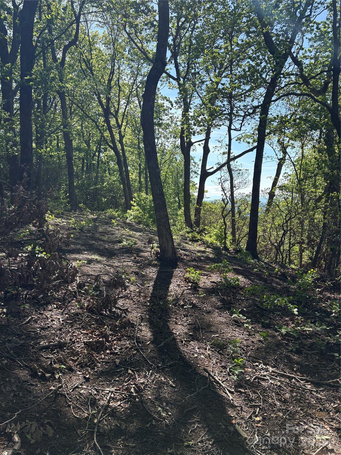 Lot 6 Miller Mountain Road, Unit 6 Saluda, NC 28773 - Photo 12 of 22 a view of outdoor space and trees