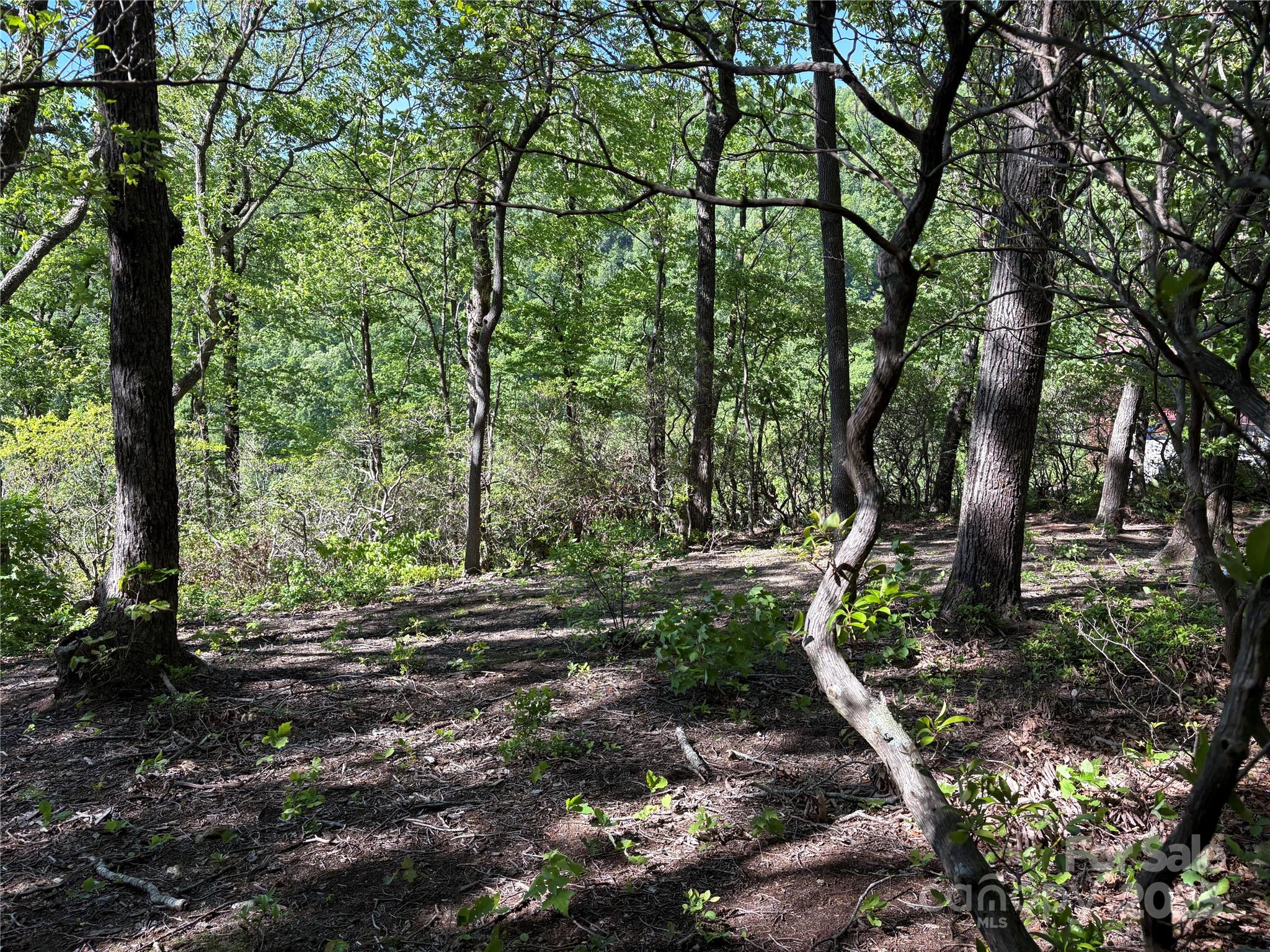 Lot 6 Miller Mountain Road, Unit 6 Saluda, NC 28773 - Photo 15 of 22 a view of outdoor space and yard
