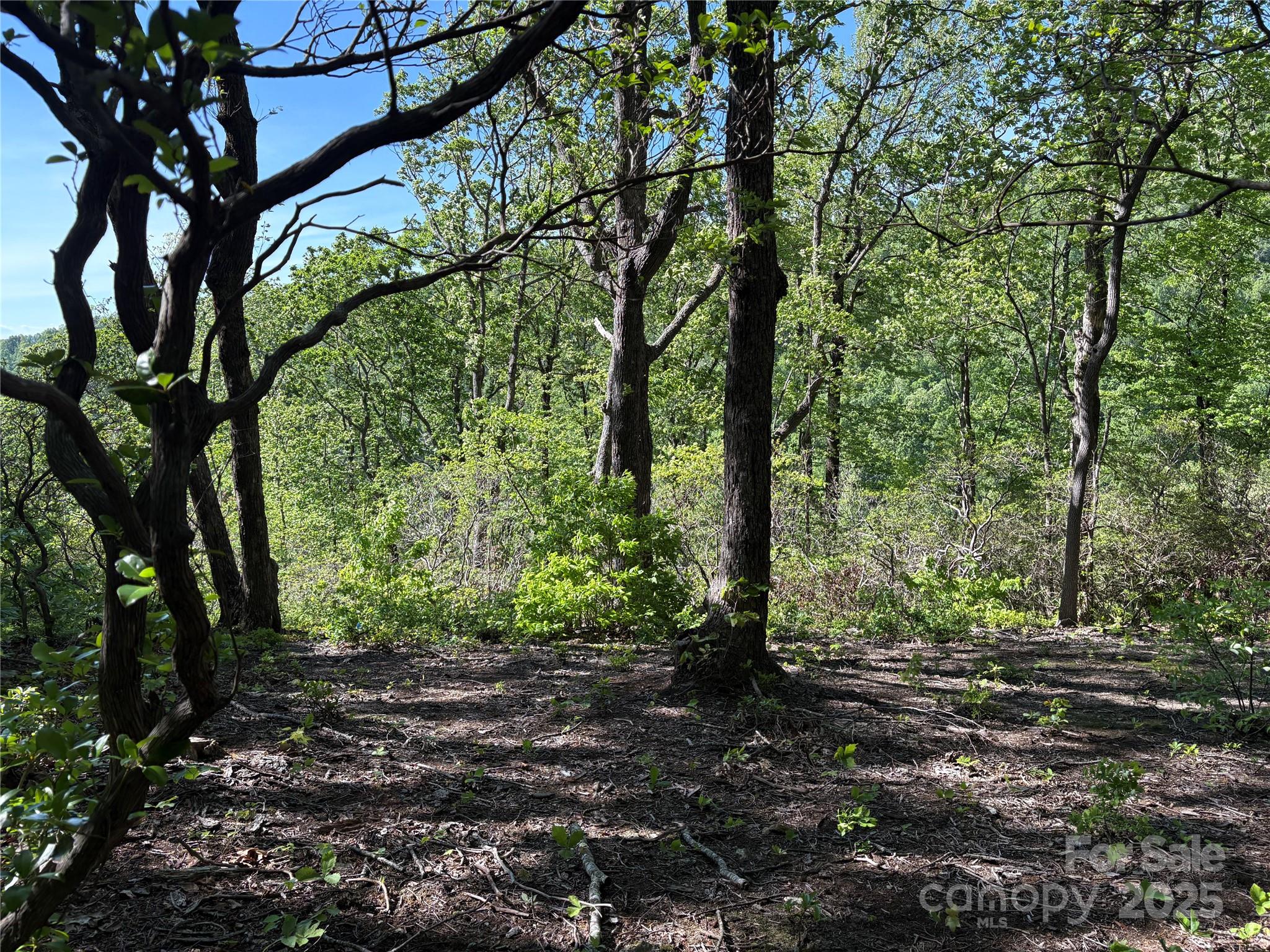 Lot 6 Miller Mountain Road, Unit 6 Saluda, NC 28773 - Photo 16 of 22 a view of outdoor space and green space