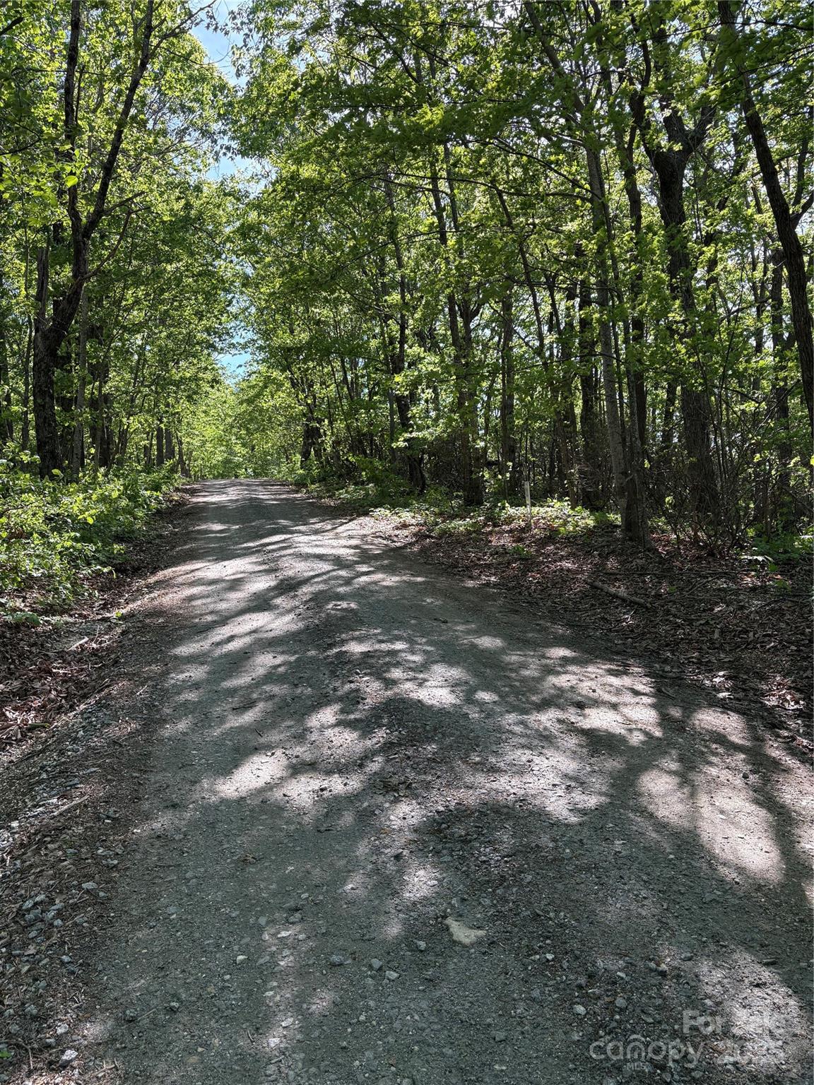 Lot 6 Miller Mountain Road, Unit 6 Saluda, NC 28773 - Photo 17 of 22 a view of a forest with trees in the background