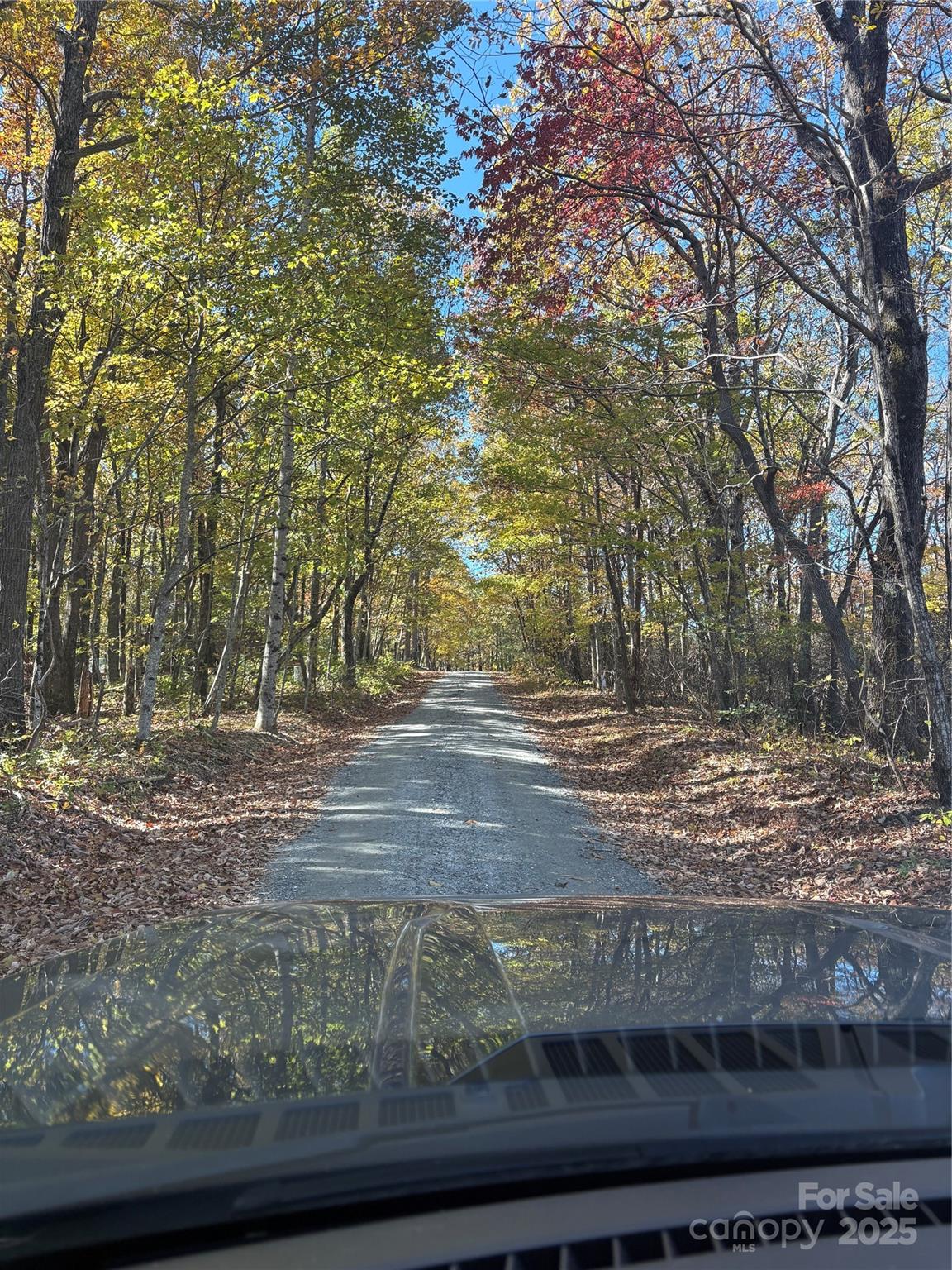 Lot 6 Miller Mountain Road, Unit 6 Saluda, NC 28773 - Photo 3 of 22 a view of a yard with large trees