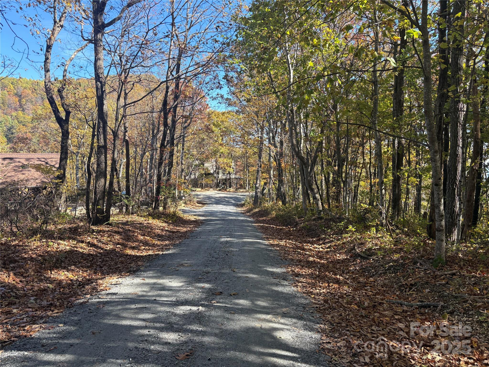 Lot 6 Miller Mountain Road, Unit 6 Saluda, NC 28773 - Photo 4 of 22 a view of a yard with trees