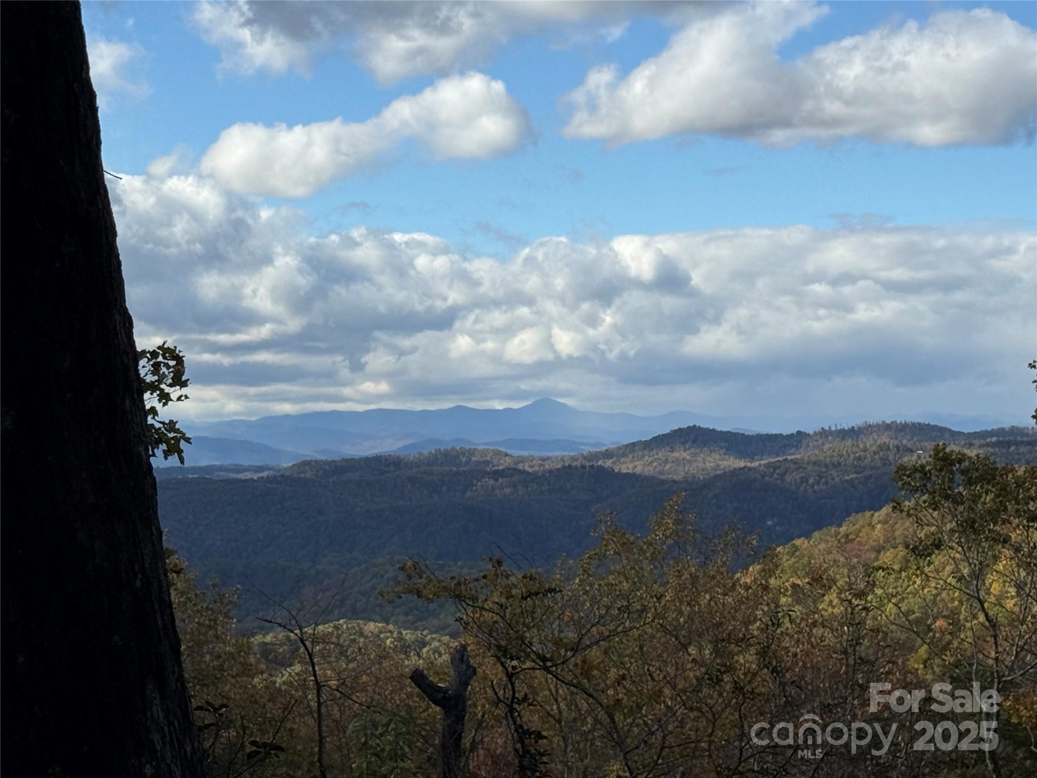 Lot 6 Miller Mountain Road, Unit 6 Saluda, NC 28773 - Photo 5 of 22