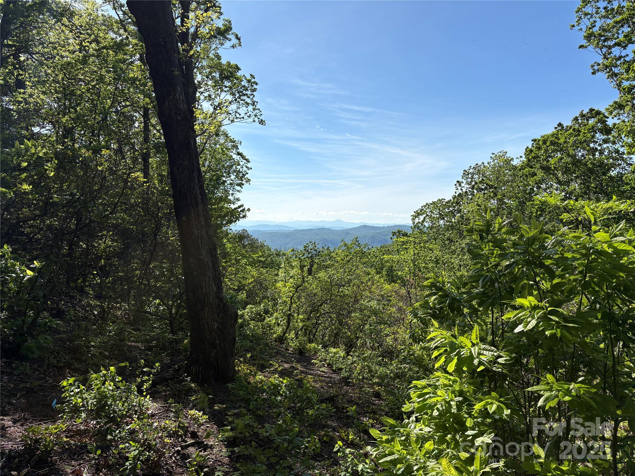 Lot 6 Miller Mountain Road, Unit 6 Saluda, NC 28773 - Photo 9 of 22 a view of a trees