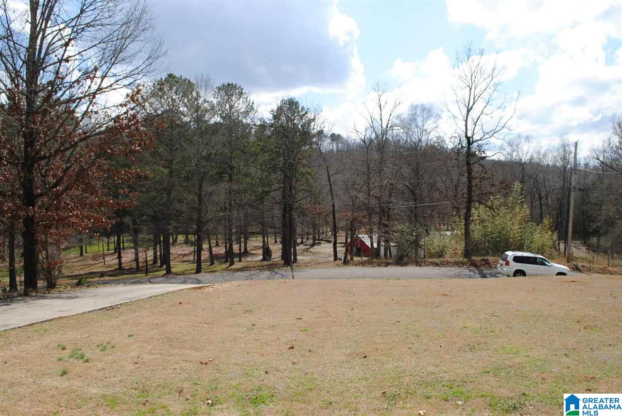7955 Blackie Curren Road Bessemer, AL 35022 - Photo 4 of 21