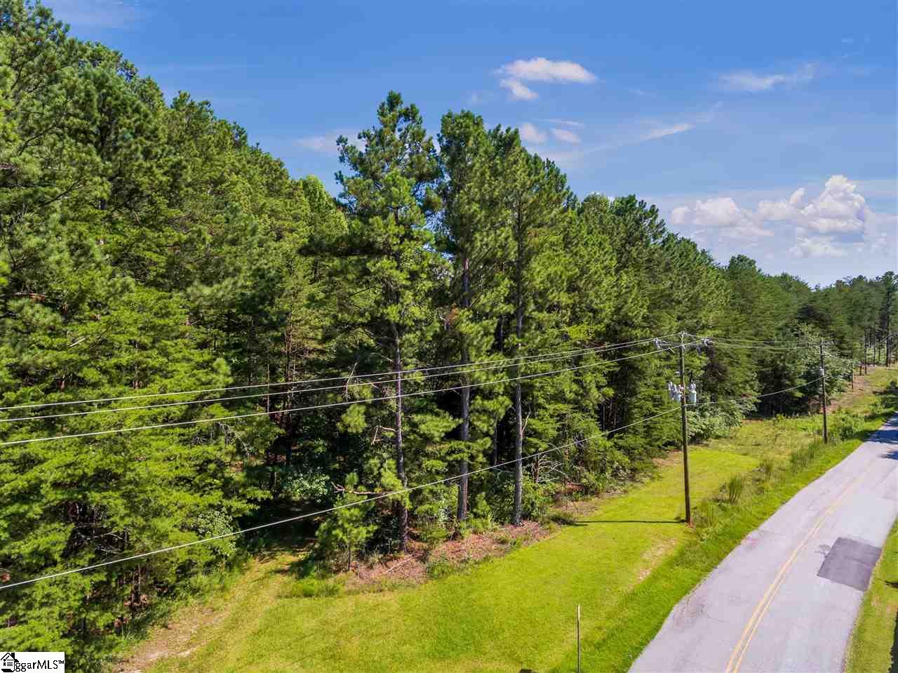 907 Pine Grove Church Road Sunset, SC 29685 - Photo 2 of 11