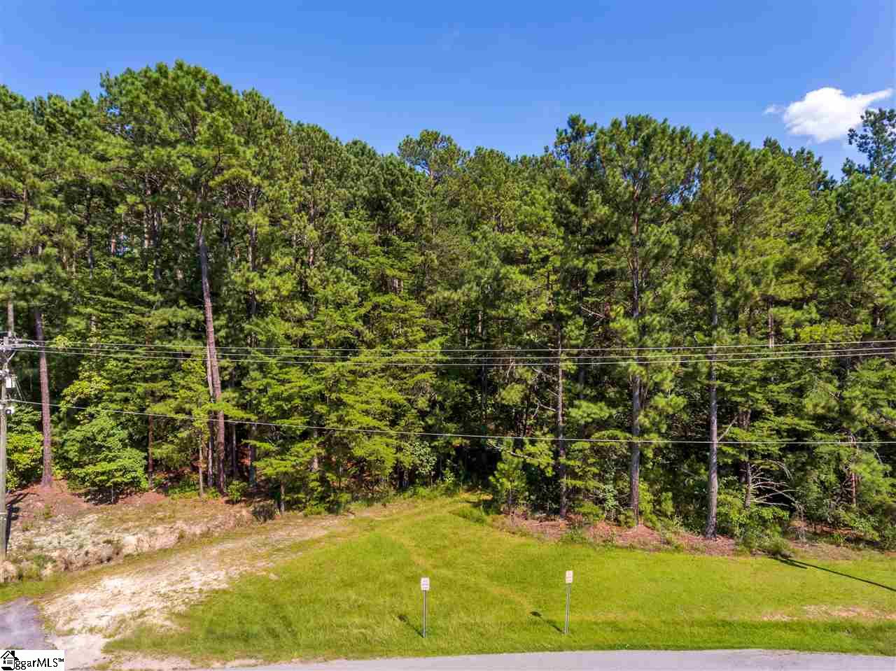 907 Pine Grove Church Road Sunset, SC 29685 - Photo 5 of 11