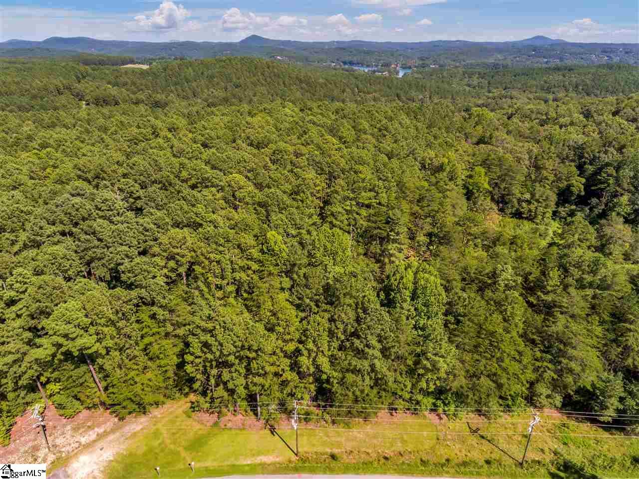 907 Pine Grove Church Road Sunset, SC 29685 - Photo 7 of 11