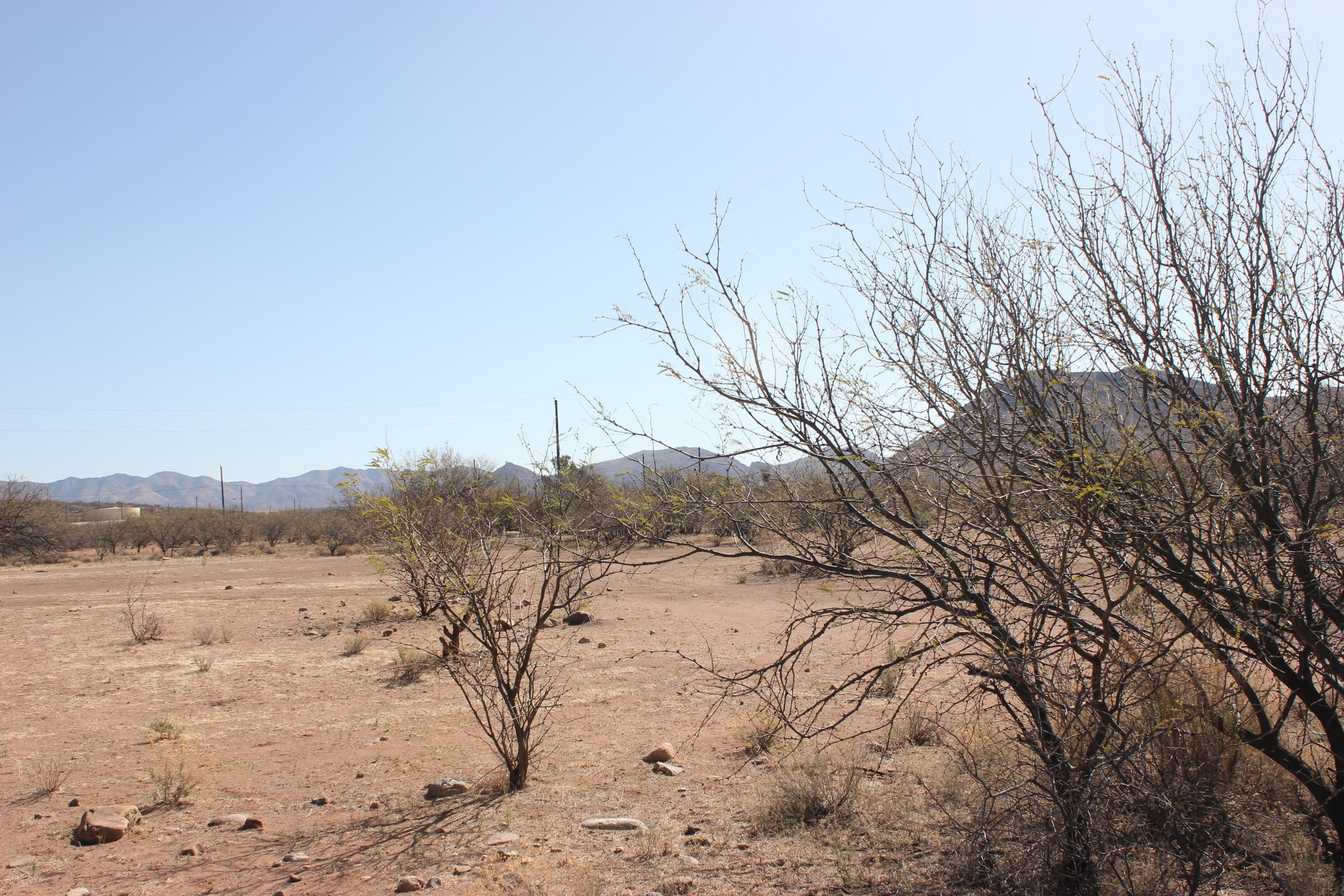 1861 Calle Mulata, Unit 51 Rio Rico, AZ 85648 - Photo 3 of 3