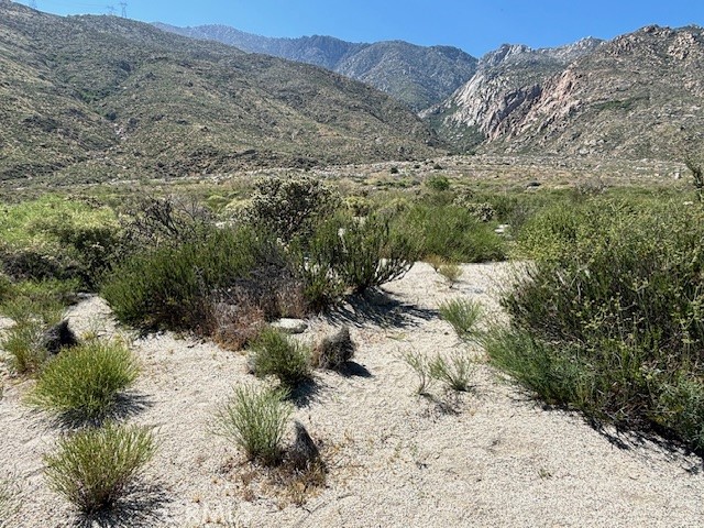 0 Ida Cabazon, CA 92230 - Photo 3 of 4