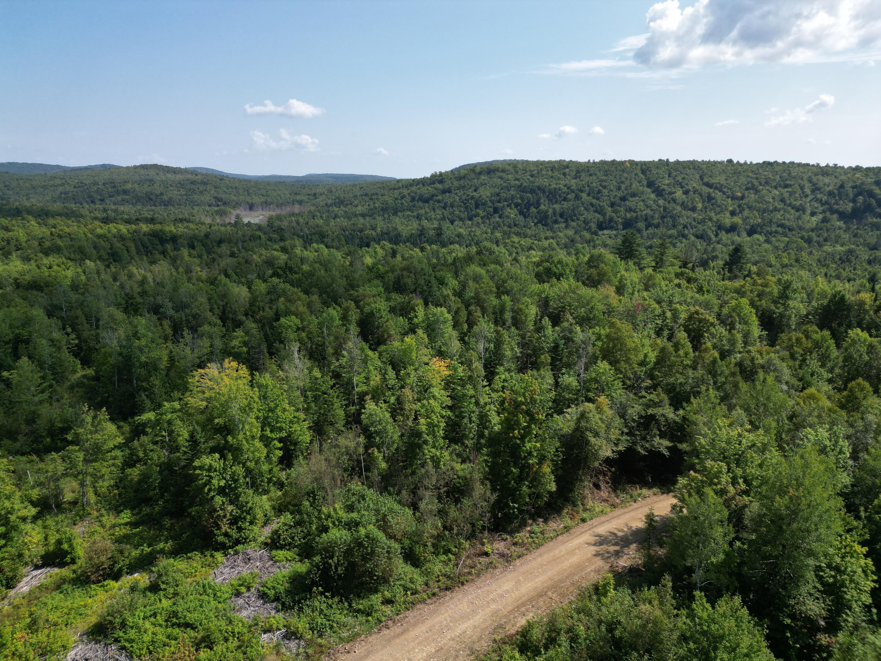 Lot 4 Bear Lane Springfield, ME 04487 - Photo 13 of 13 DJI_0072