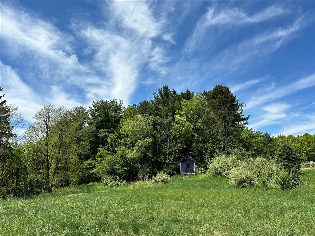 8128 West Hollow Road Naples, NY 14512 - Photo 1 of 1