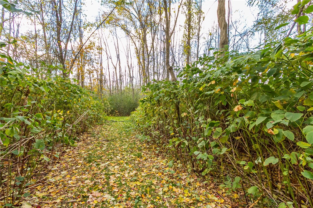 4341 Ridge Road Williamson, NY 14589 - Photo 11 of 19