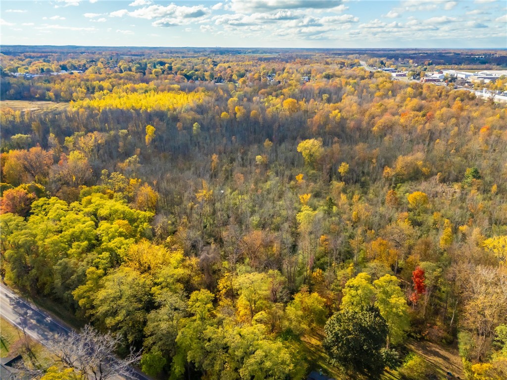 4341 Ridge Road Williamson, NY 14589 - Photo 15 of 19