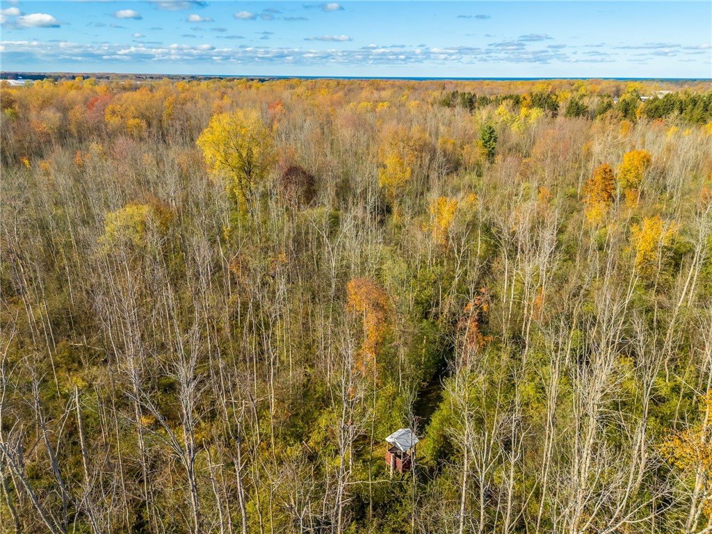 4341 Ridge Road Williamson, NY 14589 - Photo 16 of 19