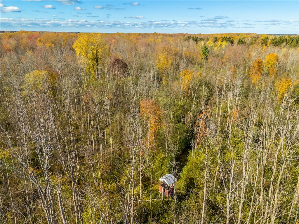 4341 Ridge Road Williamson, NY 14589 - Photo 17 of 19