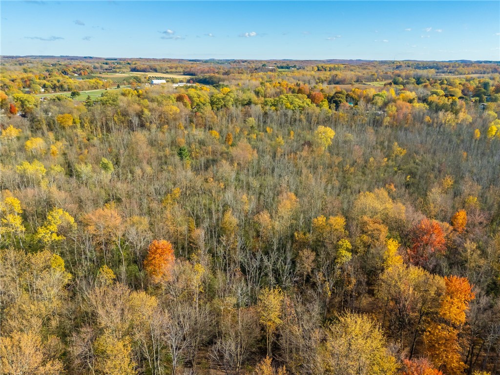 4341 Ridge Road Williamson, NY 14589 - Photo 18 of 19