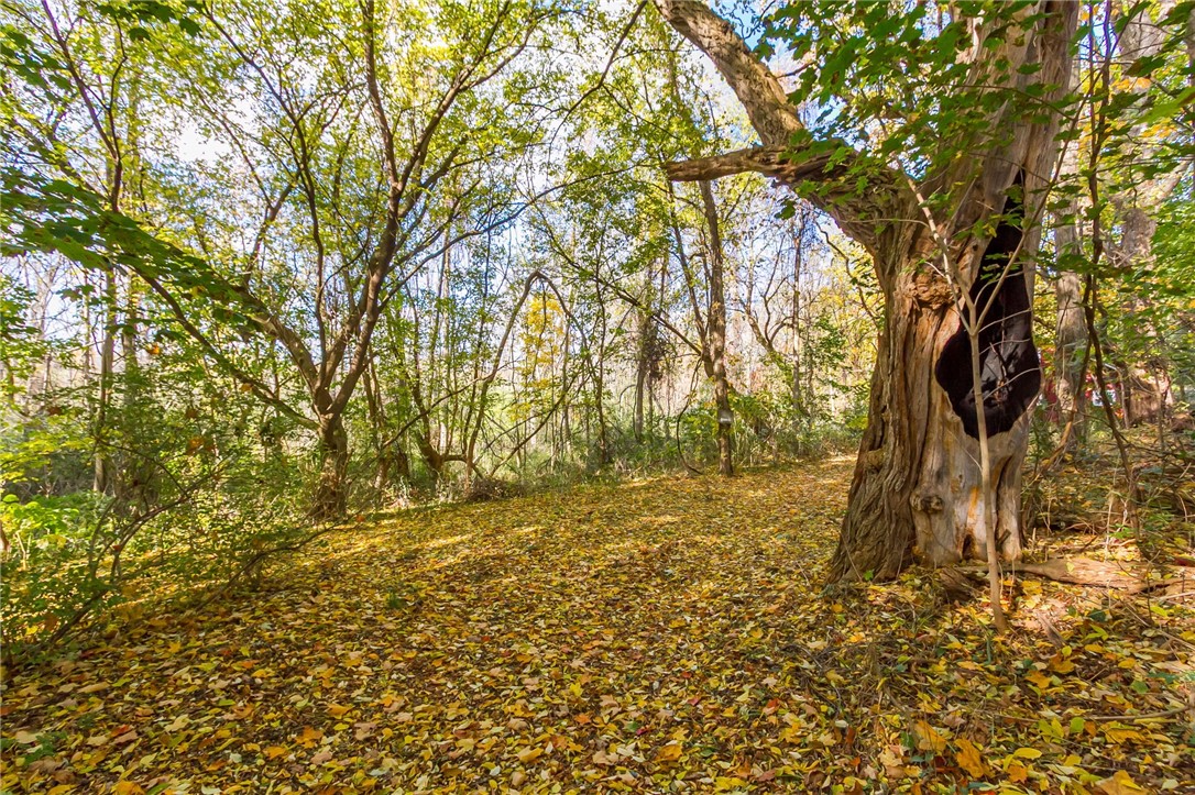 4341 Ridge Road Williamson, NY 14589 - Photo 3 of 19