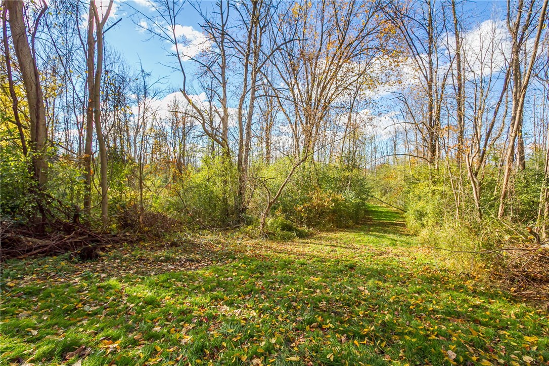 4341 Ridge Road Williamson, NY 14589 - Photo 8 of 19