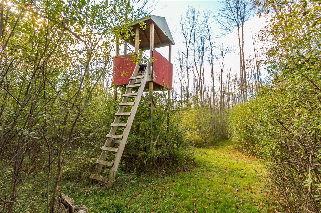 4341 Ridge Road Williamson, NY 14589 - Photo 9 of 19