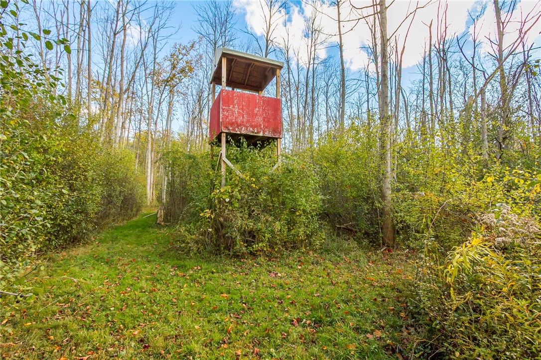 4341 Ridge Road Williamson, NY 14589 - Photo 10 of 19