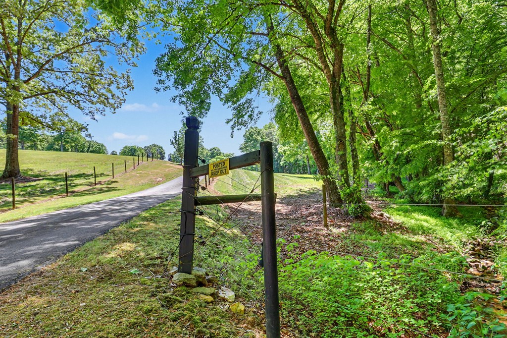 1193 Pine Log Road Warne, NC 28909 - Photo 62 of 75