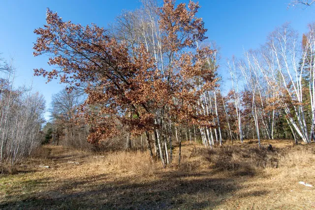 $64,900 | Tbd Lot 2 Tbd Lane, Park Rapids, MN 56470