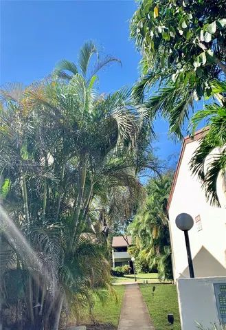 a view of a yard with plants and large trees
