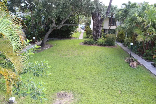 a view of a street with a tree