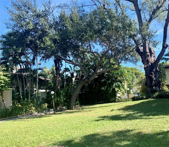 a view of a trees in a yard
