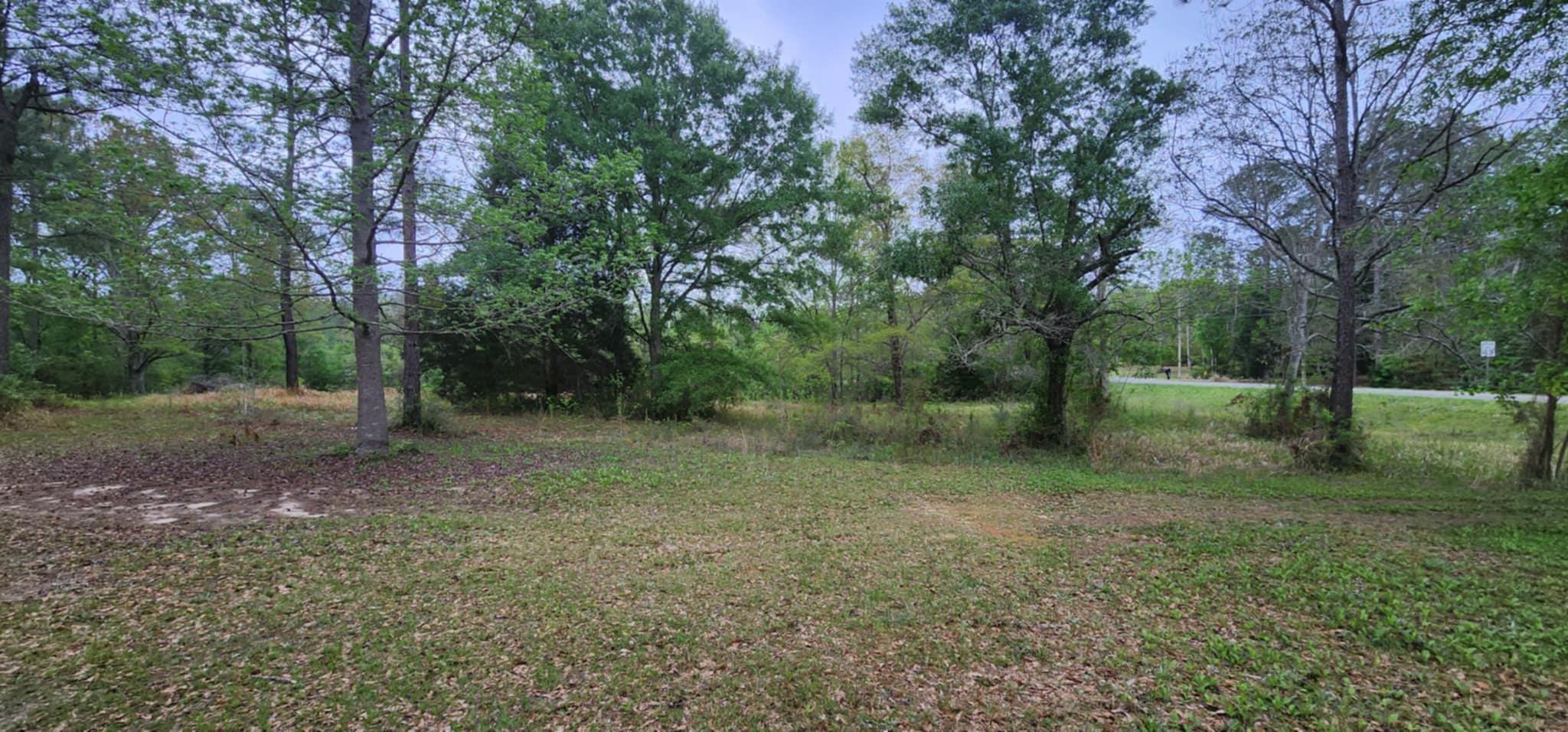 24407 Patterson Road Robertsdale, AL 36567 - Photo 1 of 18 Yard