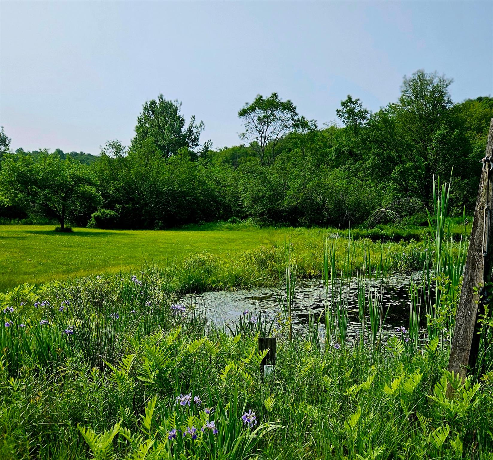 141 Bonnie Brook Road Roscoe, NY 12776 - Photo 5 of 48 View of nature