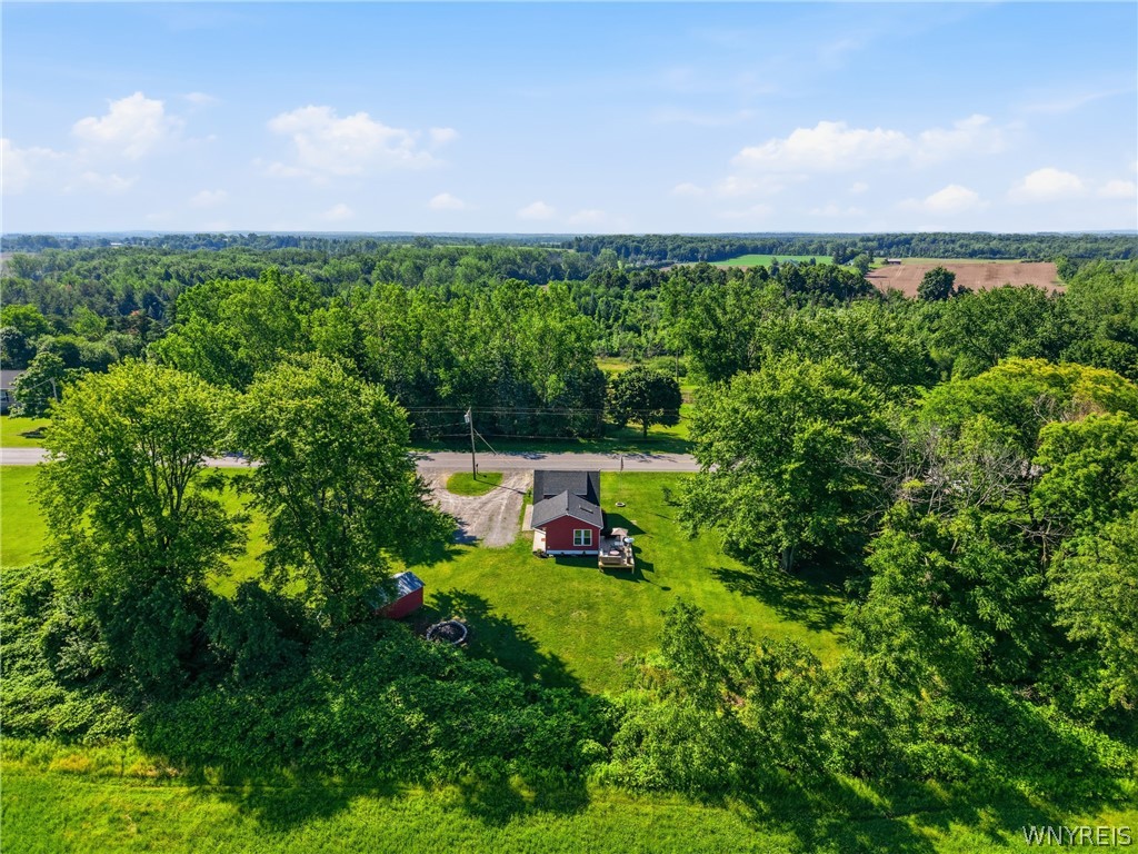 4963 Barrville Road Elba, NY 14058 - Photo 44 of 49