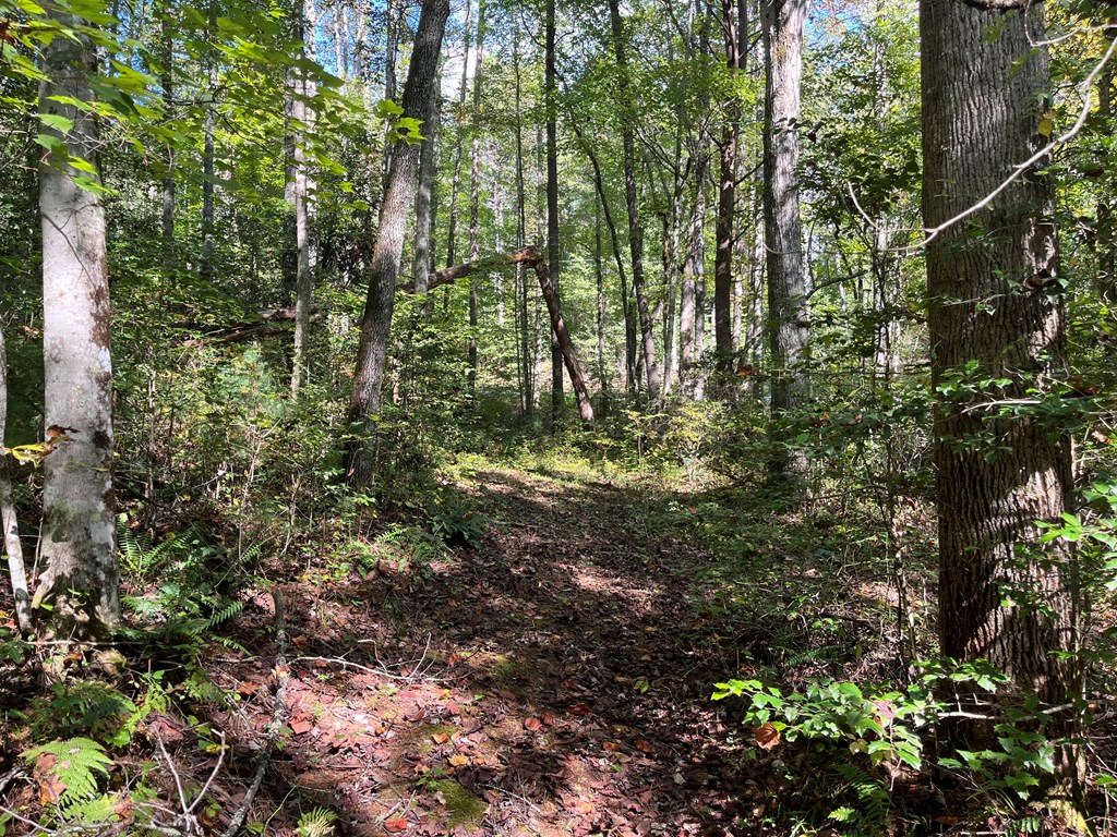 10977 Beaver Dam Road Murphy, NC 28906 - Photo 22 of 29 Gallery Image 22