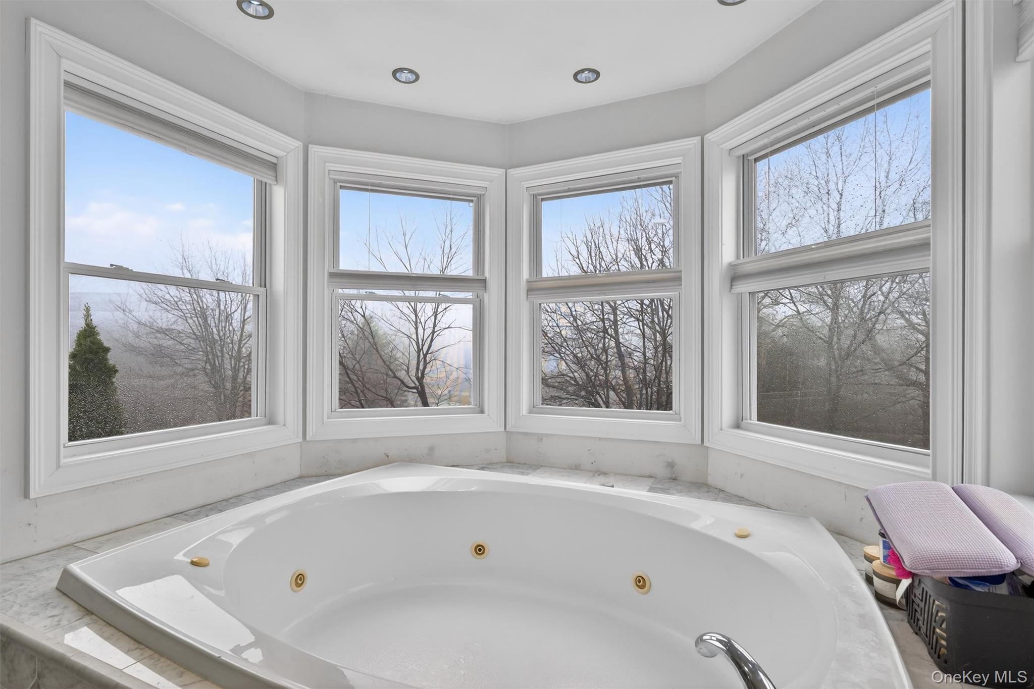 71 Eagle Crest Road Port Jervis, NY 12771 - Photo 29 of 45 Bathroom featuring a tub with jets