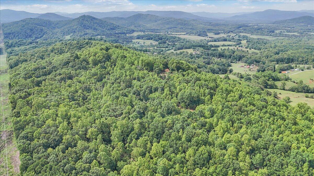 1466 Oak Ridge Farm Road Moneta, VA 24121 - Photo 54 of 66 52-DJI_20250515155237_0029_D