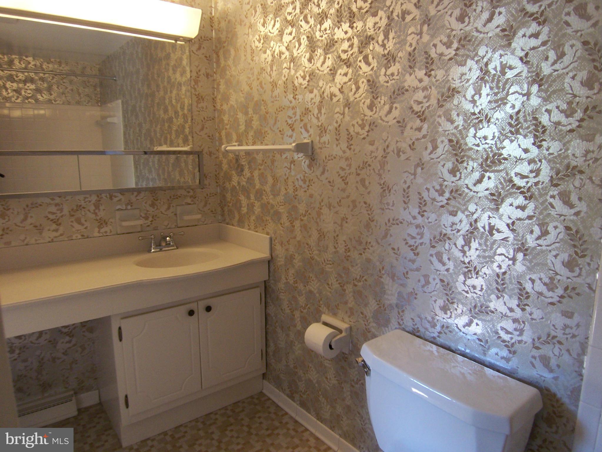 13421 Tamarack Road Silver Spring, MD 20904 - Photo 17 of 30 Bath (Master)