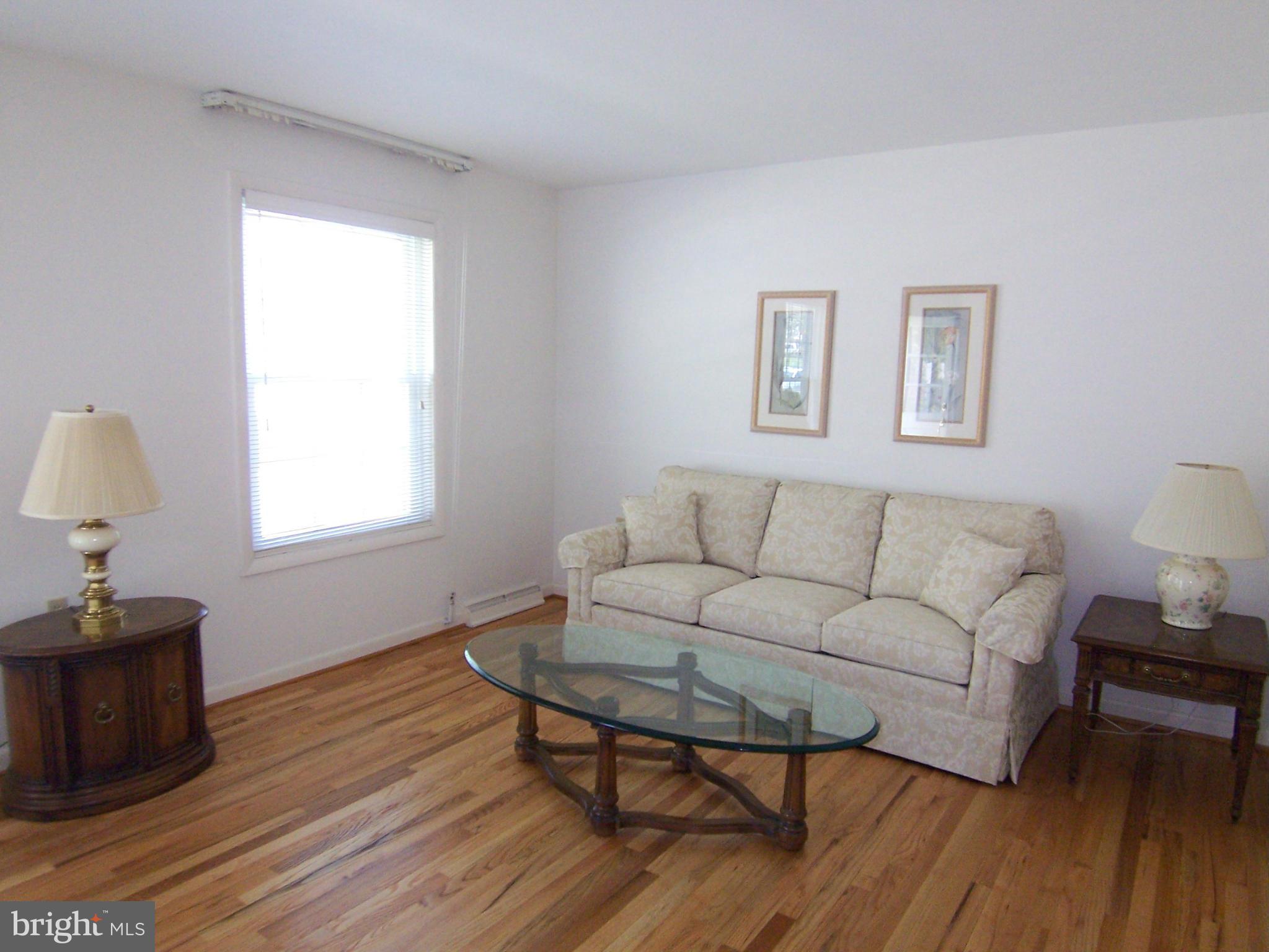 13421 Tamarack Road Silver Spring, MD 20904 - Photo 4 of 30 Living Room