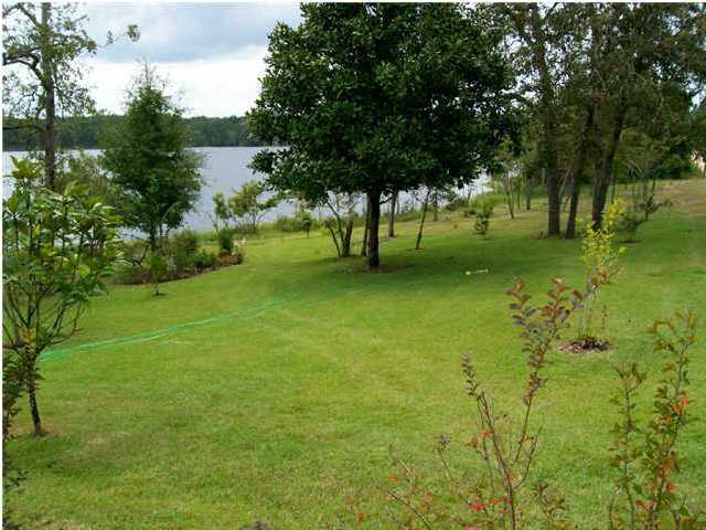 1584 Spring Lake Road DeFuniak Springs, FL 32433 - Photo 11 of 19 a view of a trees with a yard
