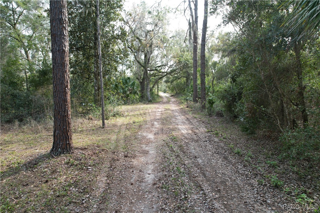 770 North Lori Point Inverness, FL 34453 - Photo 11 of 44