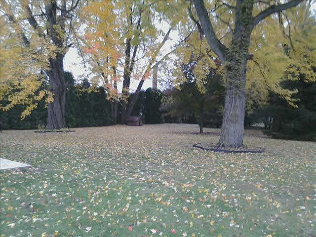 12916 Lulu Road Ida, MI 48140 - Photo 19 of 19 20392509-18.JPG