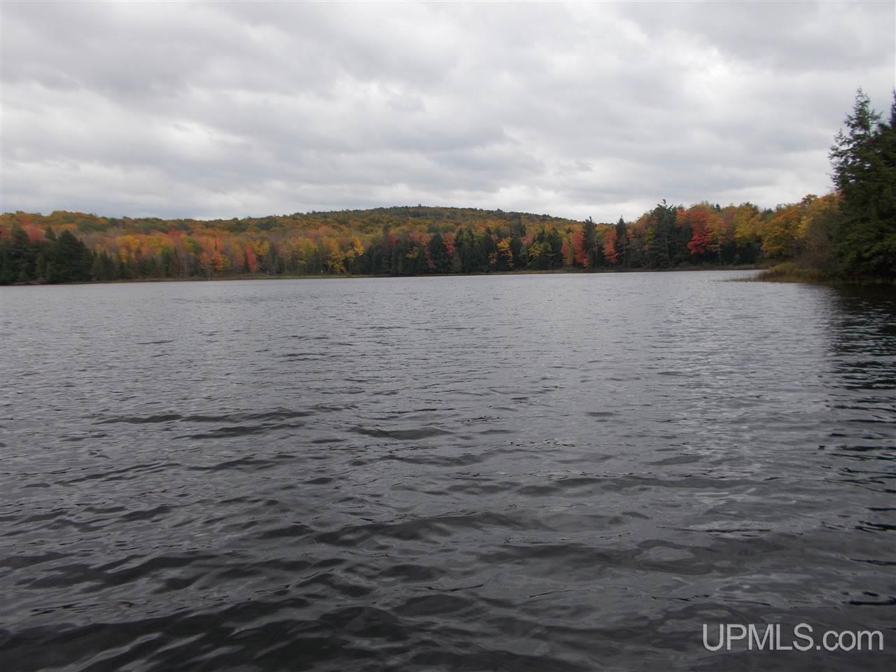 Clark Lake Jack Spurr Road Wakefield, MI 49968 - Photo 15 of 20