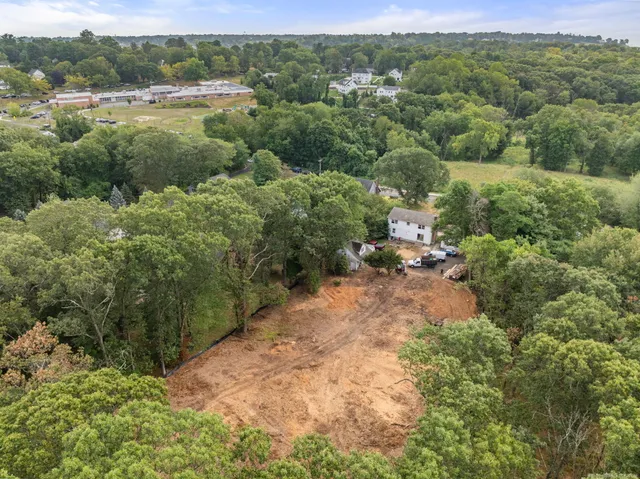 a view of a forest with a street