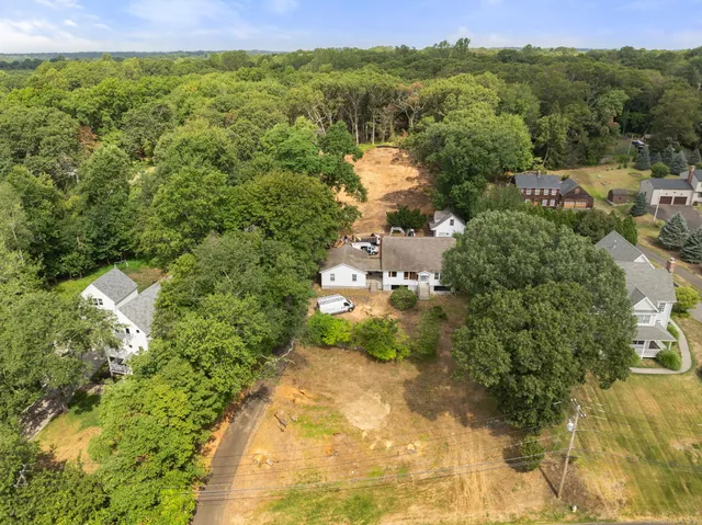 a view of a city with lush green forest